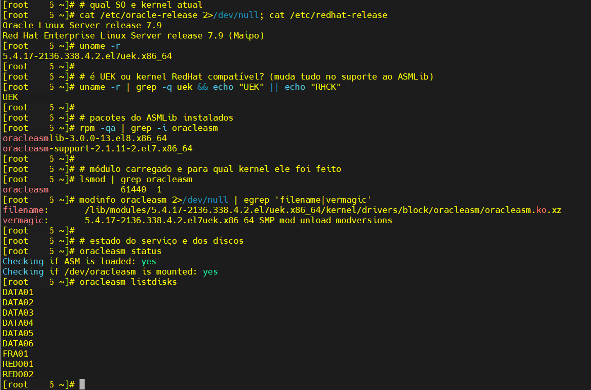 ASMLib v3 no Oracle Linux 8: estado inicial em Oracle Linux 7.9 antes do upgrade