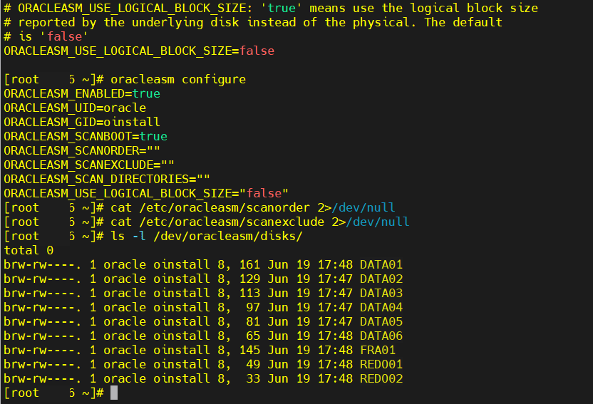 Mapeamento dos discos ASMLib para os devices
